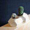 Polygon Pot